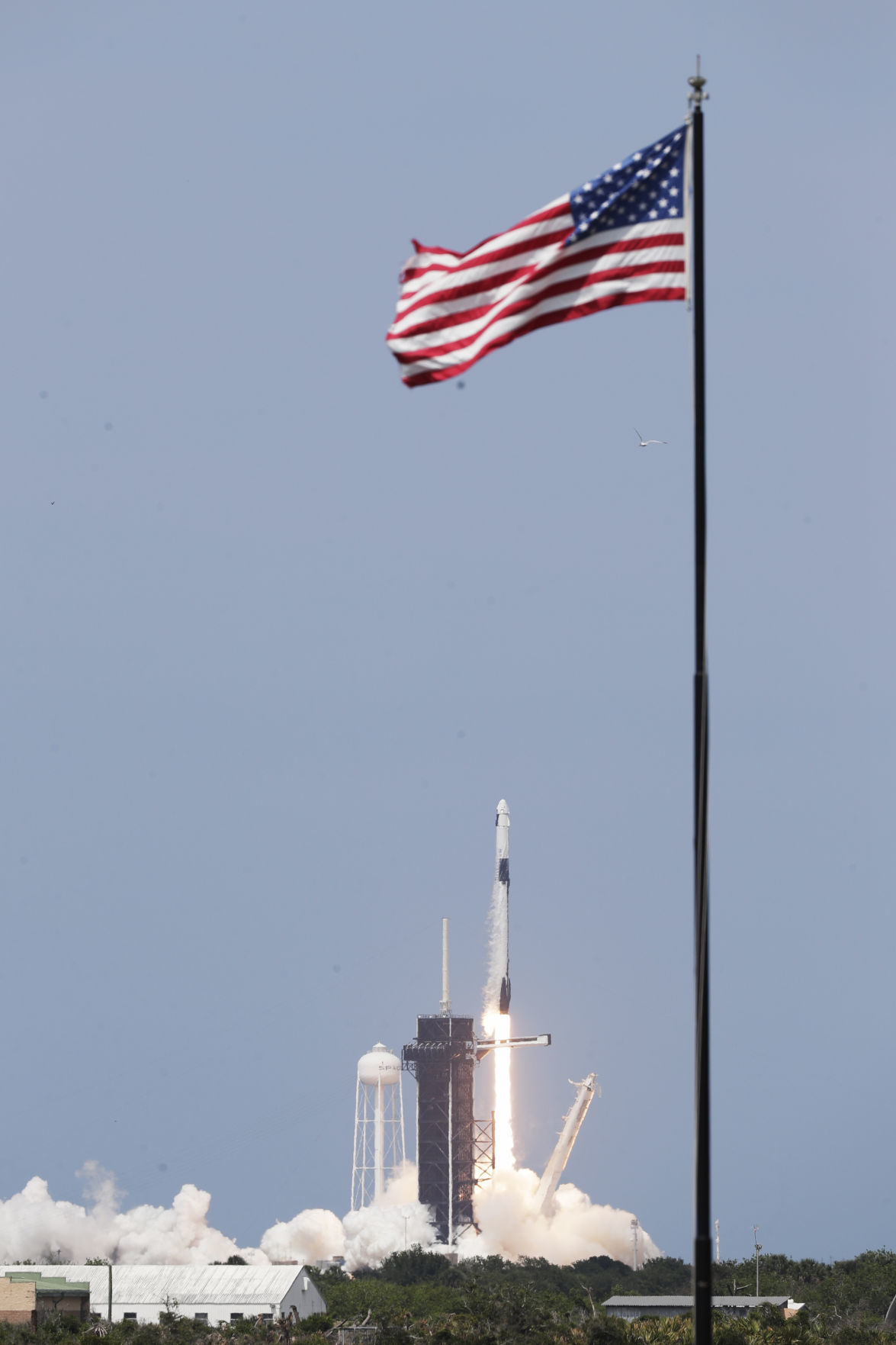 Home Launch